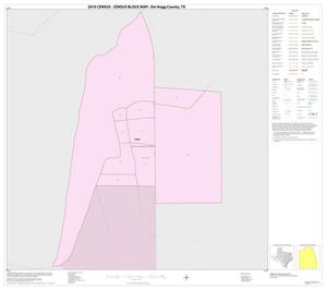 2010 Census County Block Map: Jim Hogg County, Inset B01