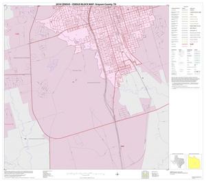 2010 Census County Block Map: Grayson County, Inset J02