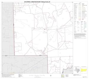 2010 Census County Block Map: Kleberg County, Block 13