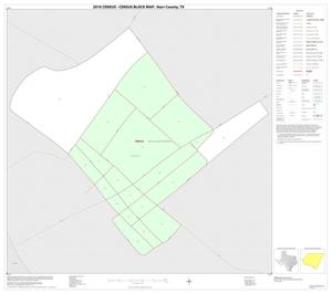 2010 Census County Block Map: Starr County, Inset A01
