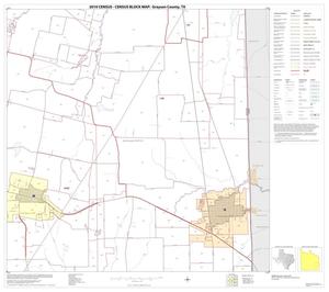 2010 Census County Block Map: Grayson County, Block 21