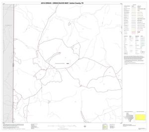 2010 Census County Block Map: Sutton County, Block 13