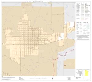 2010 Census County Block Map: Clay County, Inset C01