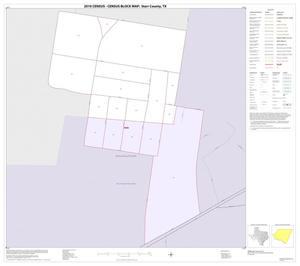 2010 Census County Block Map: Starr County, Inset F01