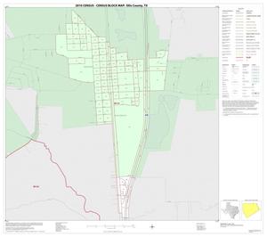 2010 Census County Block Map: Ellis County, Inset D01