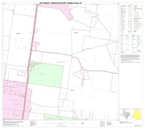 2010 Census County Block Map: Hidalgo County, Block 53
