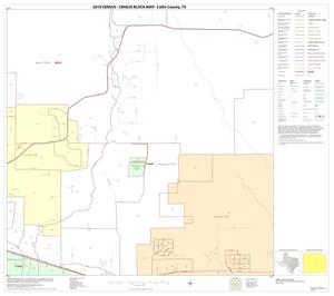 2010 Census County Block Map: Collin County, Block 45
