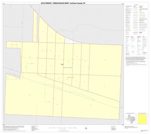 2010 Census County Block Map: Cochran County, Inset C01