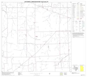 2010 Census County Block Map: Clay County, Block 21
