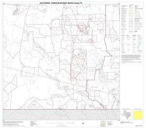 2010 Census County Block Map: Medina County, Block 22