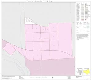 2010 Census County Block Map: Cameron County, Inset P01