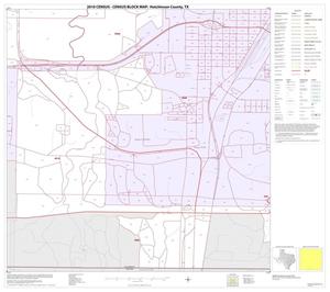 2010 Census County Block Map: Hutchinson County, Inset C06