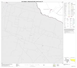 2010 Census County Block Map: Ward County, Block 13