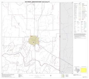 2010 Census County Block Map: Coke County, Block 8