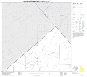 2010 Census County Block Map: Live Oak County, Block 1