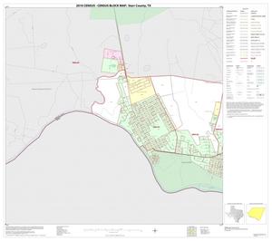 2010 Census County Block Map: Starr County, Inset B01