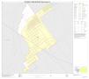 Map: 2010 Census County Block Map: Dimmit County, Inset C01