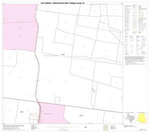 2010 Census County Block Map: Hidalgo County, Block 43