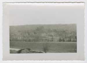 [Photograph of Trees at the Base of a Hill]