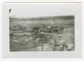 Photograph: [Photograph of Ruined Vehicles]