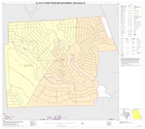 P.L. 94-171 County Block Map (2010 Census): Tyler County, Inset D01