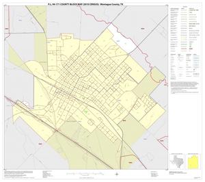 P.L. 94-171 County Block Map (2010 Census): Montague County, Inset F01
