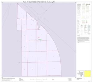 P.L. 94-171 County Block Map (2010 Census): Wise County, Inset G01