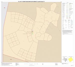 P.L. 94-171 County Block Map (2010 Census): Coryell County, Inset H01