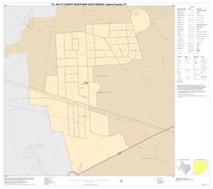 P.L. 94-171 County Block Map (2010 Census): Upshur County, Inset F01