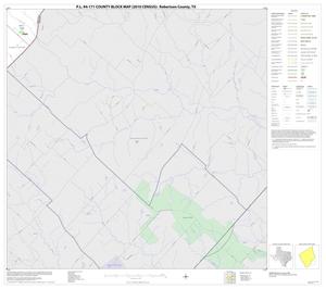 P.L. 94-171 County Block Map (2010 Census): Robertson County, Block 19