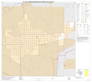 Primary view of P.L. 94-171 County Block Map (2010 Census): Clay County, Inset C01