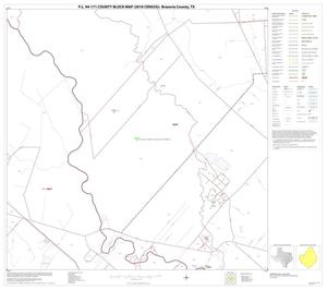 Primary view of object titled 'P.L. 94-171 County Block Map (2010 Census): Brazoria County, Block 22'.