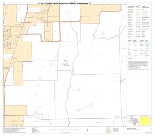P.L. 94-171 County Block Map (2010 Census): Collin County, Block 21
