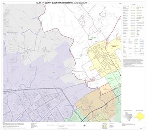 P.L. 94-171 County Block Map (2010 Census): Comal County, Block 12