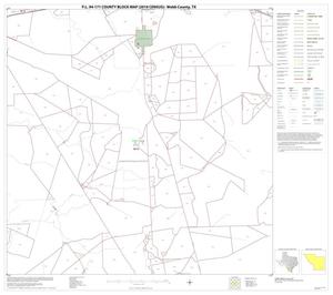 P.L. 94-171 County Block Map (2010 Census): Webb County, Block 51