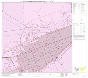 P.L. 94-171 County Block Map (2010 Census): Galveston County, Block 43
