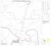 Primary view of P.L. 94-171 County Block Map (2010 Census): Blanco County, Block 6