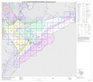 P.L. 94-171 County Block Map (2010 Census): Galveston County, Index