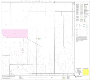 Primary view of object titled 'P.L. 94-171 County Block Map (2010 Census): Collingsworth County, Block 10'.