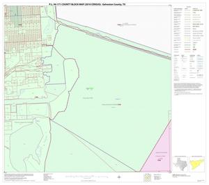 P.L. 94-171 County Block Map (2010 Census): Galveston County, Block 35