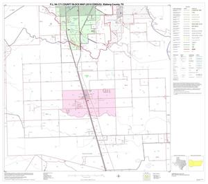 P.L. 94-171 County Block Map (2010 Census): Kleberg County, Block 8