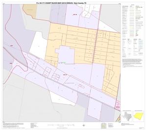 P.L. 94-171 County Block Map (2010 Census): Starr County, Inset G02