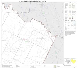Primary view of object titled 'P.L. 94-171 County Block Map (2010 Census): Travis County, Block 20'.