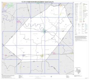 P.L. 94-171 County Block Map (2010 Census): Fayette County, Index