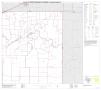 Primary view of P.L. 94-171 County Block Map (2010 Census): Tom Green County, Block 13