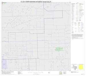 P.L. 94-171 County Block Map (2010 Census): Kenedy County, Block 28