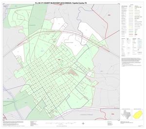 P.L. 94-171 County Block Map (2010 Census): Fayette County, Inset E01