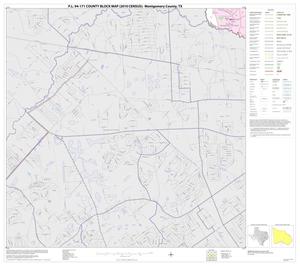 Primary view of object titled 'P.L. 94-171 County Block Map (2010 Census): Montgomery County, Block 45'.