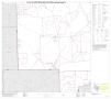 Primary view of P.L. 94-171 County Block Map (2010 Census): Kleberg County, Block 13