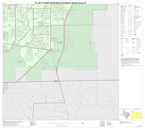 P.L. 94-171 County Block Map (2010 Census): Wichita County, Inset E06